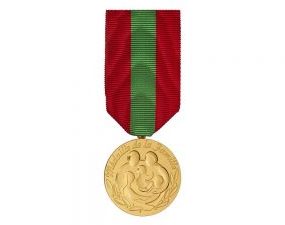 Médaille de la famille 53