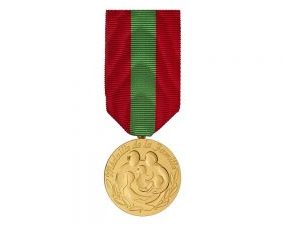 Médaille de la famille 53